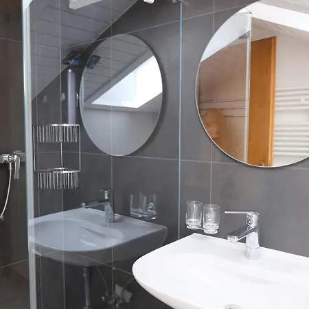 Arca 12 ロイカーバード